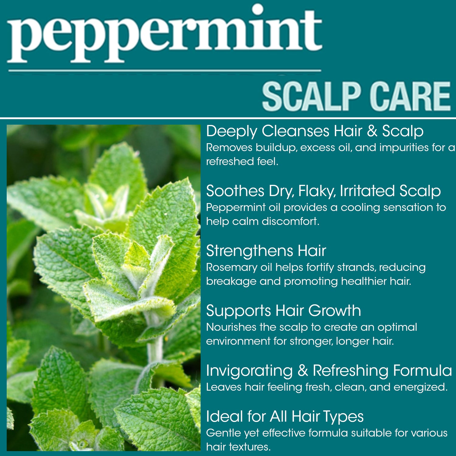 Difeel Peppermint Scalp Care Shampoo 12 oz.