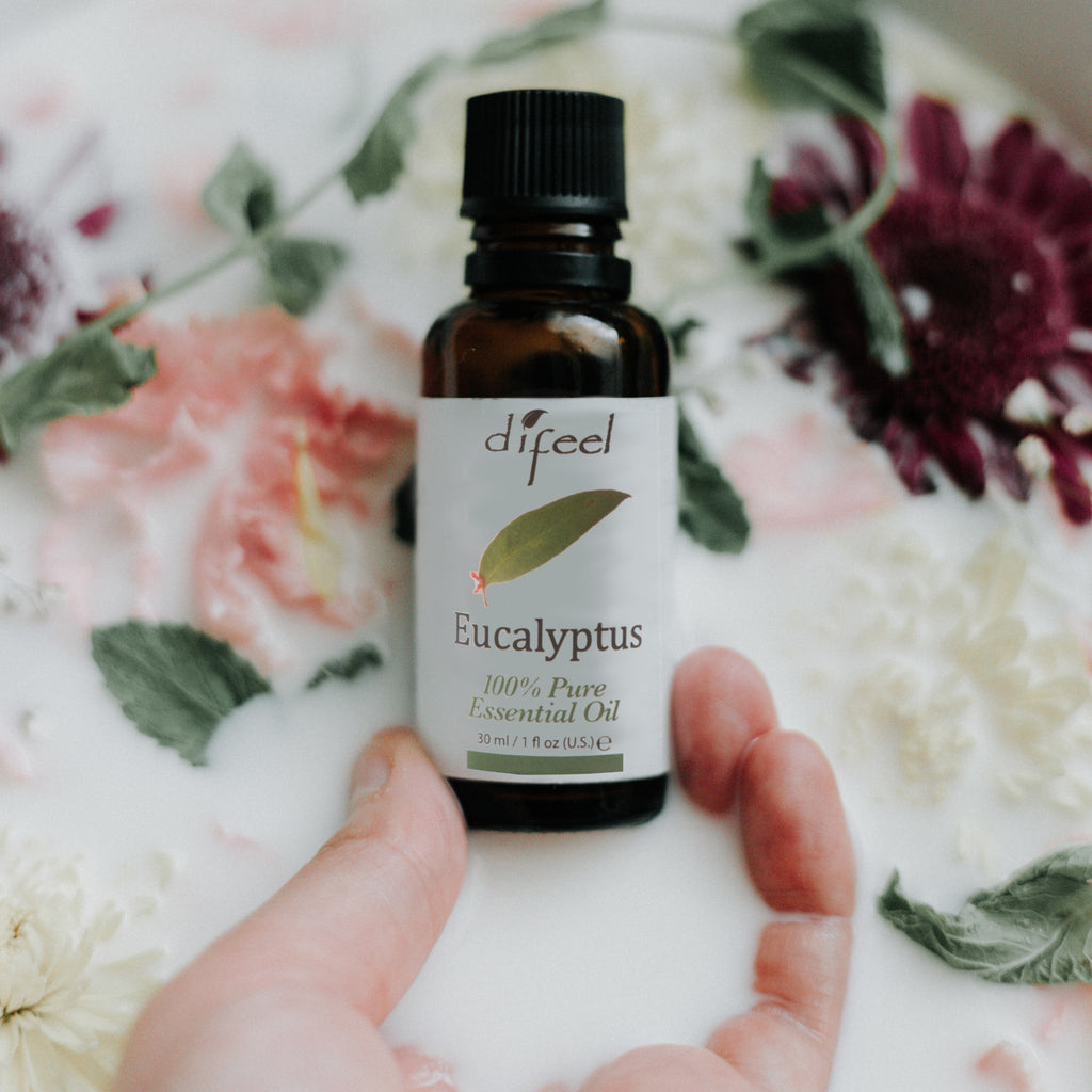 Difeel 100% Pure Essential Oil - Eucalyptus Oil 1 oz.