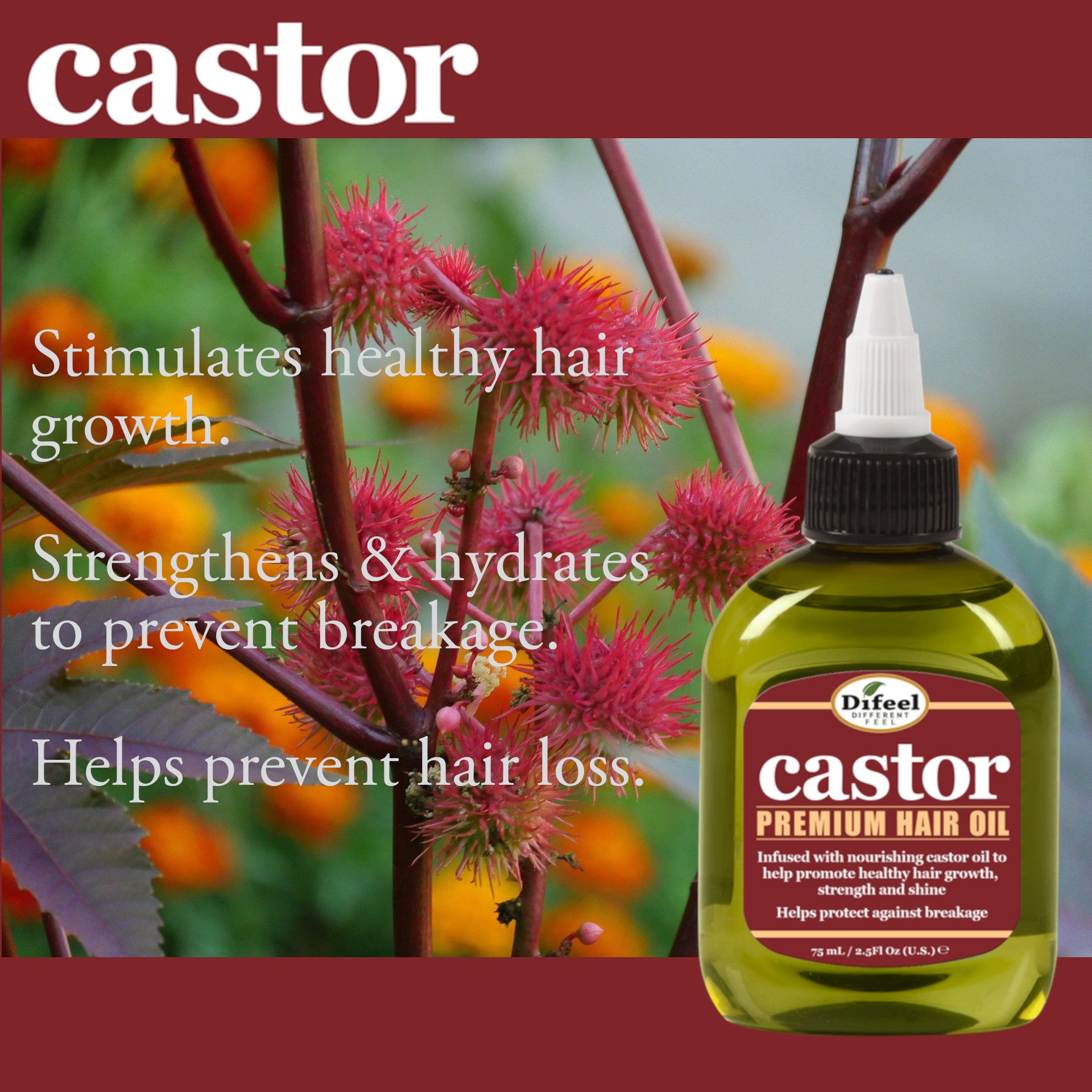 Difeel Castor Pro-Growth Hair Oil 2.5 oz.