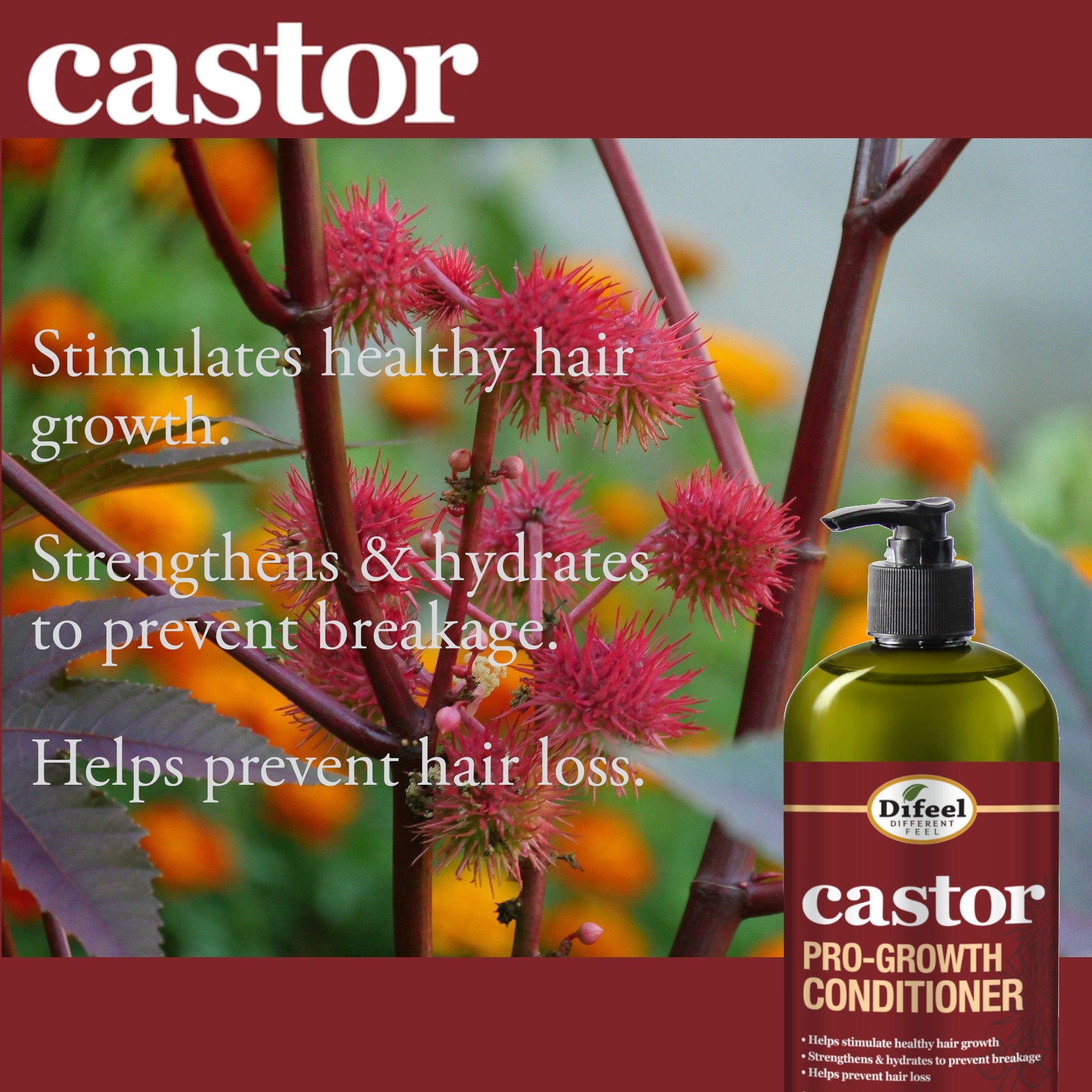 Difeel 3-PC Castor Pro-Growth Hair Growth: Cleansing & Treatment Set - Includes 12 oz. Shampoo, 12 oz.  Conditioner, & 2.5 oz. Root Stimulator